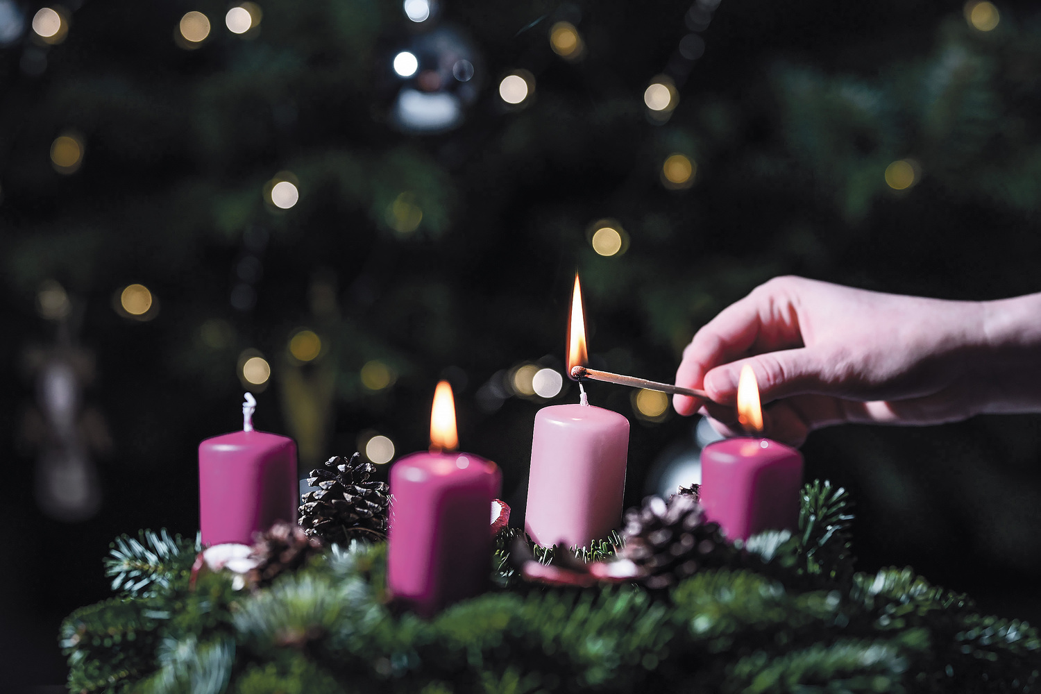 Erzdiözese Salzburg / Hiva Naghshi