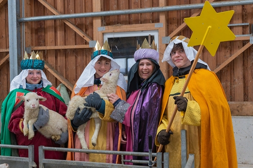 Sternsinger Kirchdorf an der Krems / Foto Haijes, Jack Haijes Sternsinger unterwegs in Kirchdorf an der KremsFoto: Besuch im Schafbauernhof Rainer