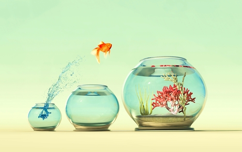 Orlando Florin Rosu / stock.adob