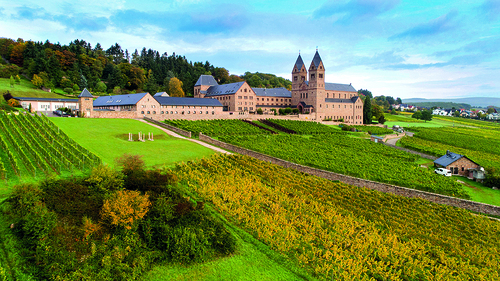 2015 Getty Images, Thomas Lohnes RUEDESHEIM, GERMANY - OCTOBER 04: 'Riesling' Grape harvest in a vineyard of the St. Hildegard abbey on October 4, 2017 in Eibingen near Ruedesheim, Germany. (Photo Thomas Lohnes/Getty Images)