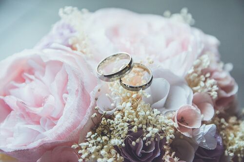 beatriz-perez-moya_unsplash