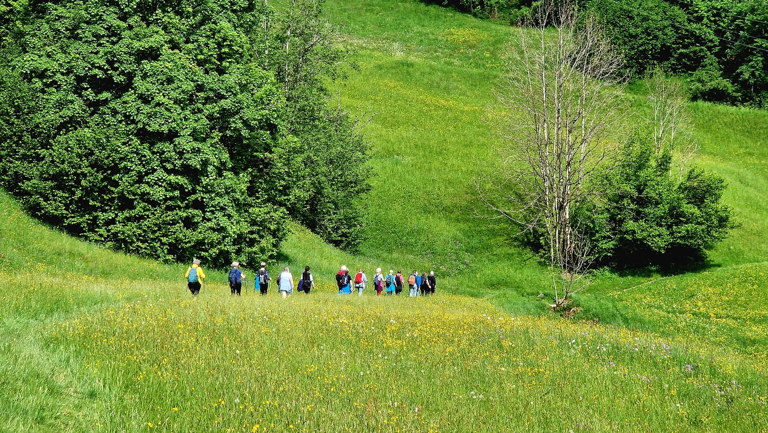 Bei den leichten Wanderungen steht das Gemeinschaftserlebnis im Vordergrund.