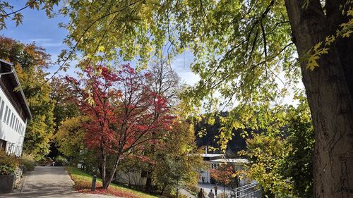 21.10.2025 Pfarrausflug Pfarre St. Sebstian Dornbirn nach St. Arbogast