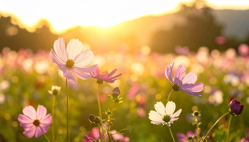 u_xd7hzdt9ah/Pixabay 26.02.2026