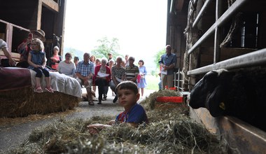 Tesaserbild für den Artikel Maiandachten auf drei Bauernhöfen in Röthis!